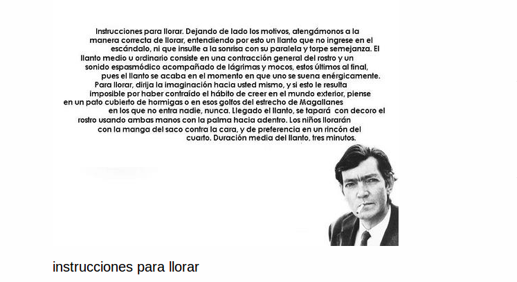 instrucciones para llorar julio cortazar